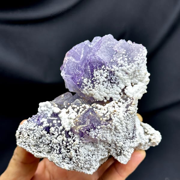 Violet fluorite cubes among white botryoidal aragonite from Yunnan, China, detail of the matrix contact