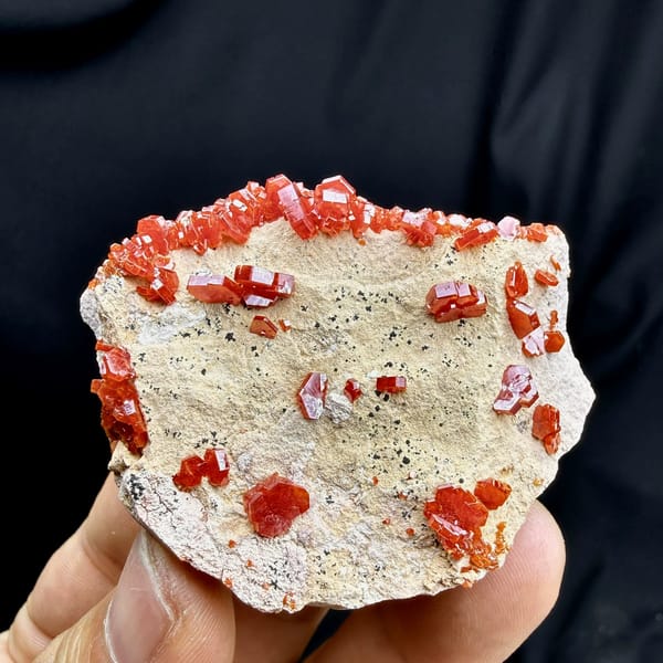 Fiery red vanadinite crystals on pale matrix from Morocco, held in hand