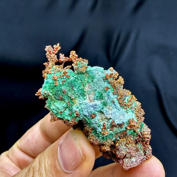 Dendritic native copper with turquoise malachite from the USA, held in hand