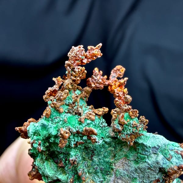 Dendritic native copper with turquoise malachite from the USA, second angle