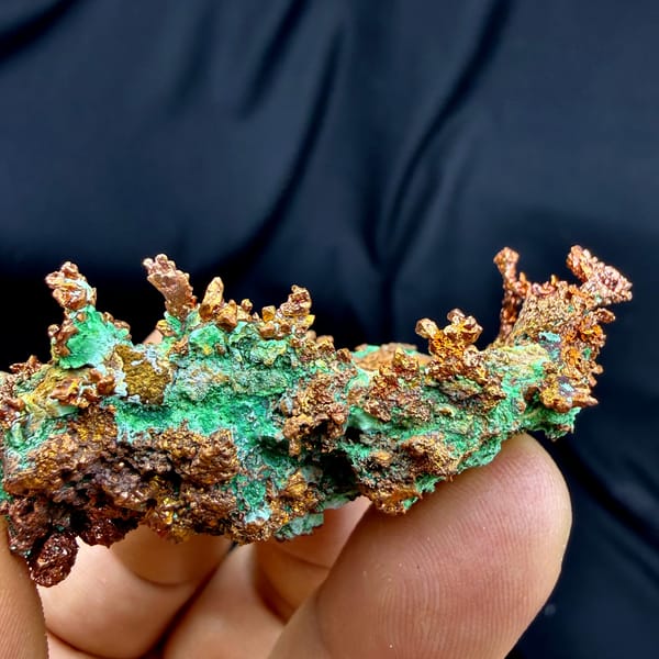Dendritic native copper with turquoise malachite from the USA, top view