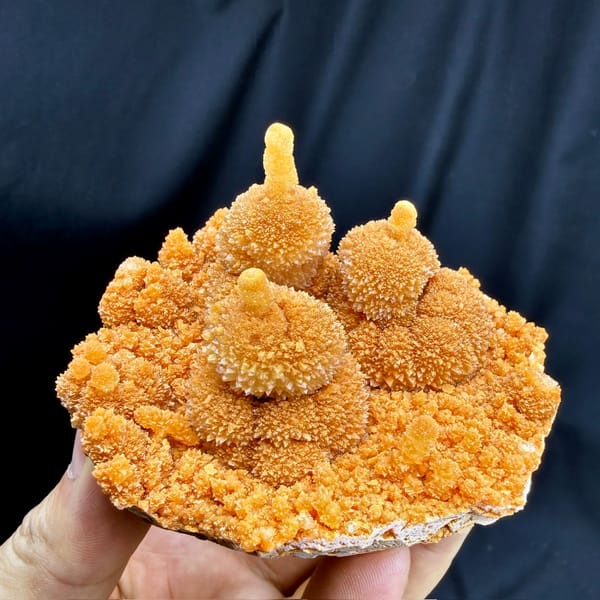 Orange gourd-shaped calcite stalactites from Yunnan, China, held in hand