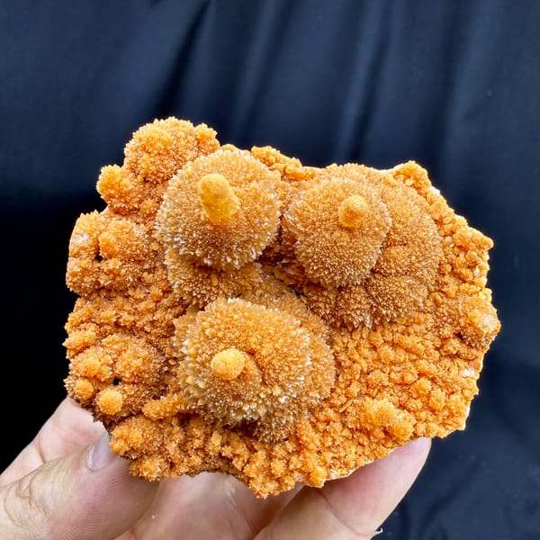 Orange gourd-shaped calcite stalactites from Yunnan, China, reverse side