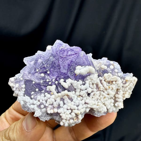 Lavender fluorite with white botryoidal aragonite from Yunnan, China, held in hand
