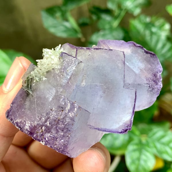 Large blue fluorite cubes with purple rims and quartz from Yaogangxian Mine, Hunan, China, second angle