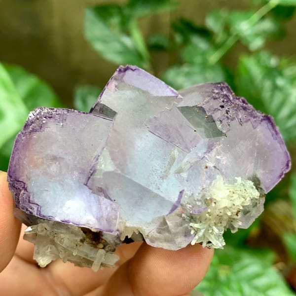Large blue fluorite cubes with purple rims and quartz from Yaogangxian Mine, Hunan, China, close-up of the crystal faces