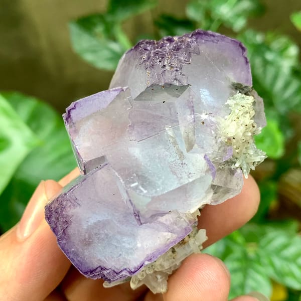 Large blue fluorite cubes with purple rims and quartz from Yaogangxian Mine, Hunan, China, top view