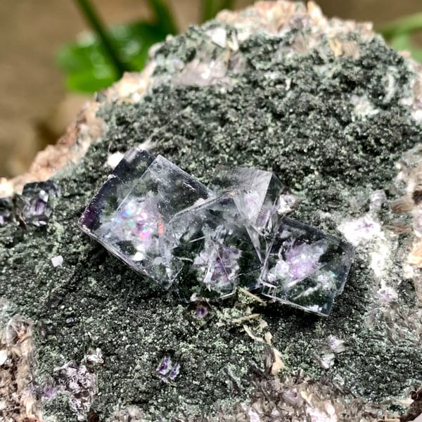 Purple-cored transparent fluorite cubes on green mica from Yaogangxian Mine, Hunan, China, second angle