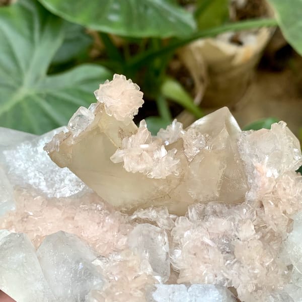 Large apophyllite plate with pink stilbite and calcite from India, reverse side