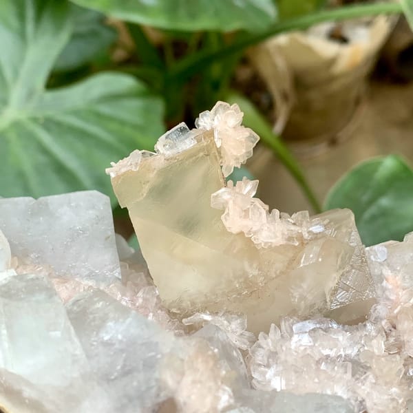 Large apophyllite plate with pink stilbite and calcite from India, top view
