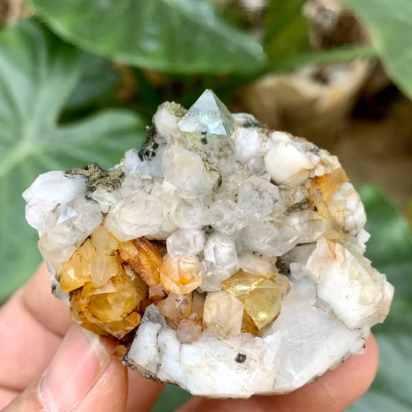 Yellow and green fluorite octahedra on white quartz from Fujian, China, held in hand