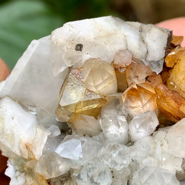 Yellow and green fluorite octahedra on white quartz from Fujian, China, top view