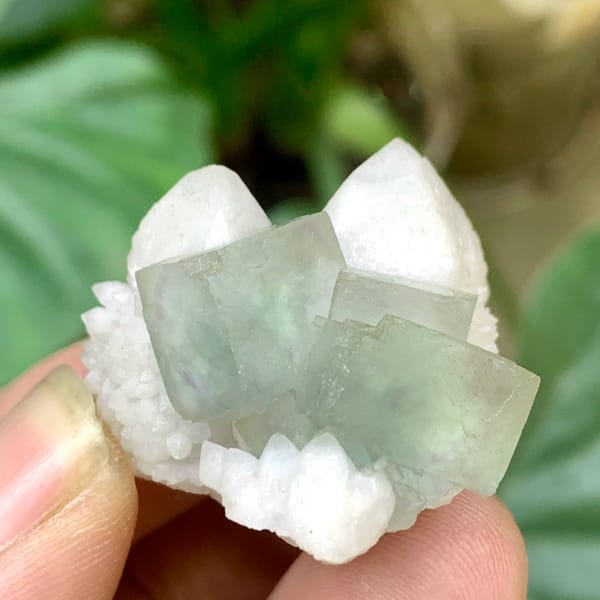 Transparent green fluorite cubes on white quartz cluster from Inner Mongolia, China