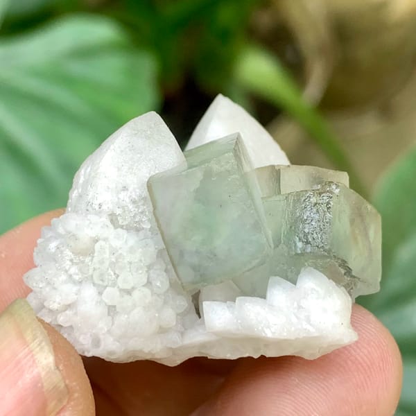 Transparent green fluorite cubes on white quartz cluster from Inner Mongolia, China, second angle