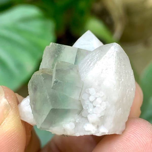 Transparent green fluorite cubes on white quartz cluster from Inner Mongolia, China, close-up of the crystal faces
