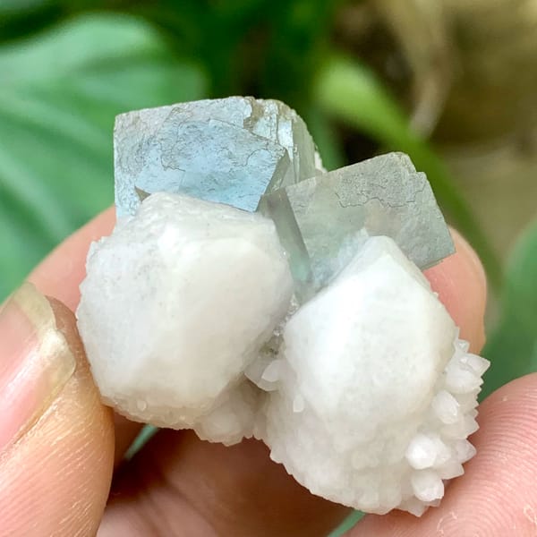 Transparent green fluorite cubes on white quartz cluster from Inner Mongolia, China, reverse side