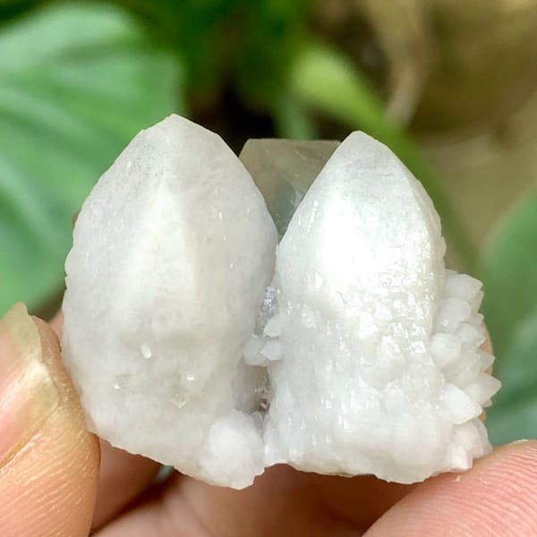 Transparent green fluorite cubes on white quartz cluster from Inner Mongolia, China, top view