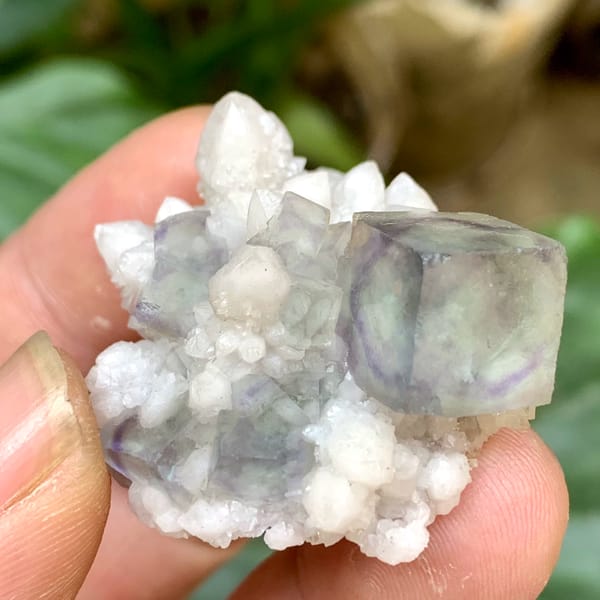 Purple-green transparent fluorite cube on white quartz from Inner Mongolia, China, close-up of the crystal faces
