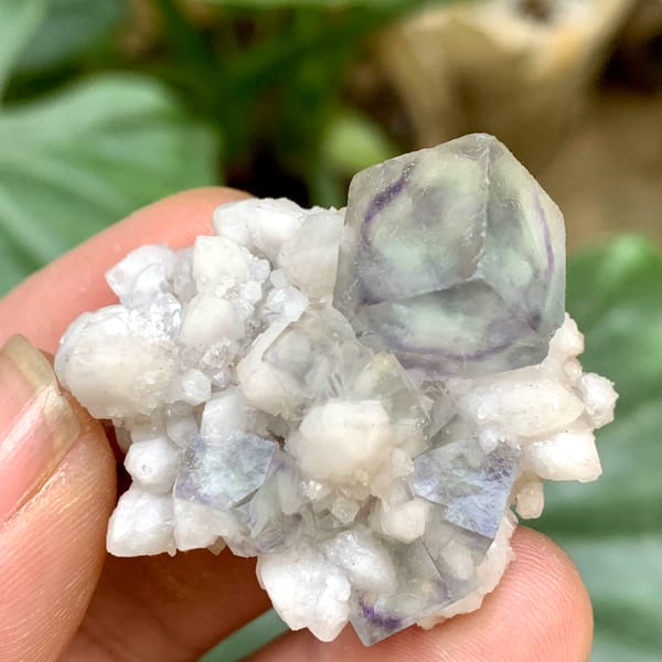 Purple-green transparent fluorite cube on white quartz from Inner Mongolia, China, reverse side