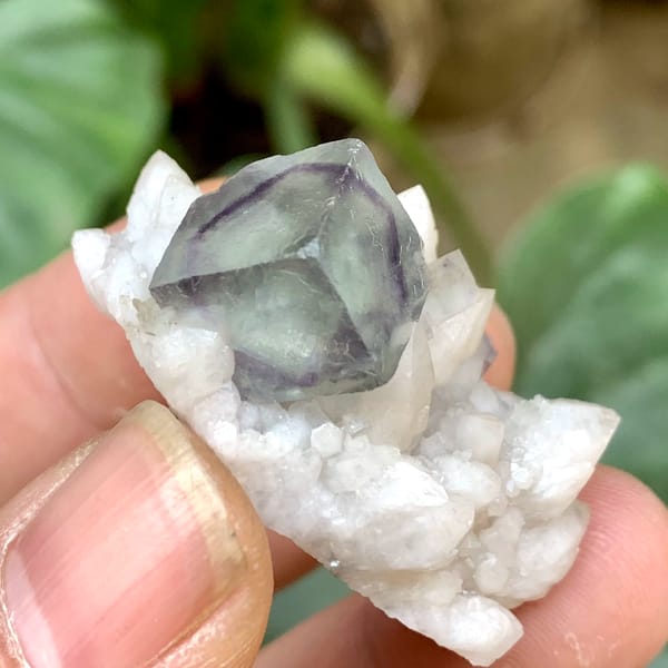 Purple-green transparent fluorite cube on white quartz from Inner Mongolia, China, top view