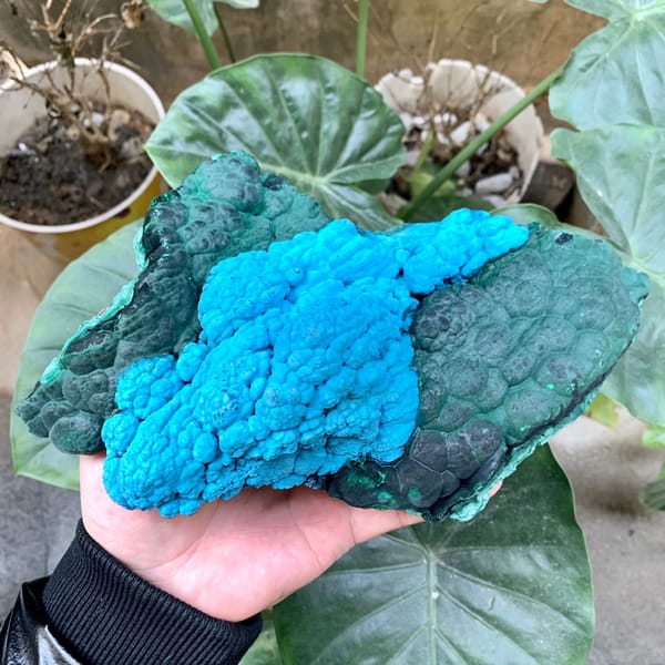 Large slab of blue chrysocolla over green malachite from Chile, close-up of the crystal faces