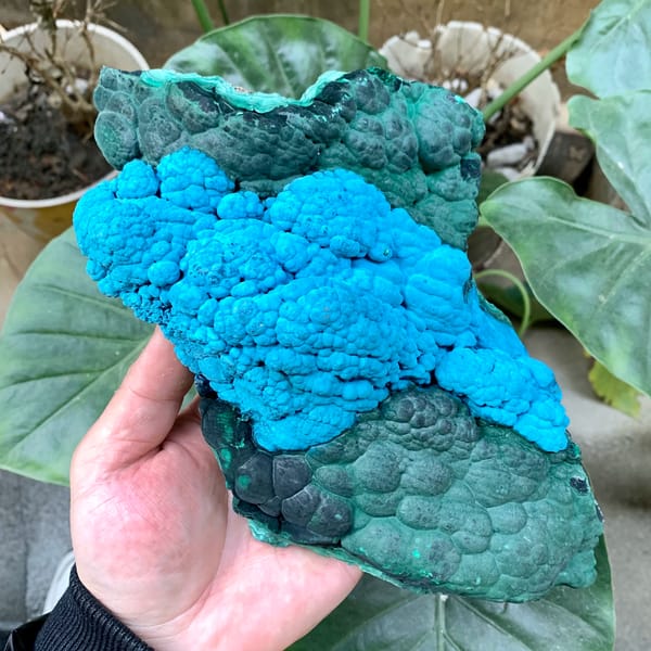Large slab of blue chrysocolla over green malachite from Chile, reverse side