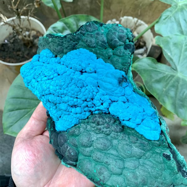 Large slab of blue chrysocolla over green malachite from Chile, top view
