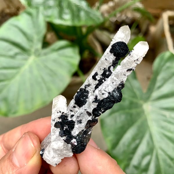 Black botryoidal specular hematite balls on white quartz from Inner Mongolia, China