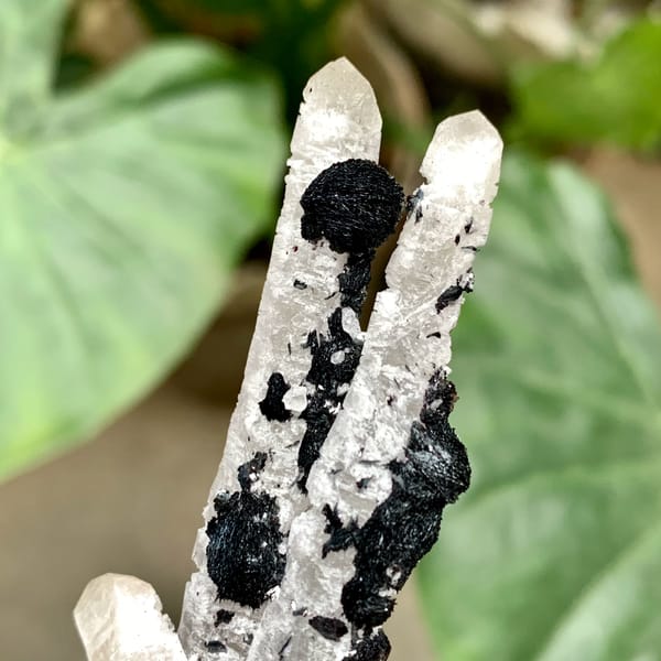 Black botryoidal specular hematite balls on white quartz from Inner Mongolia, China, second angle