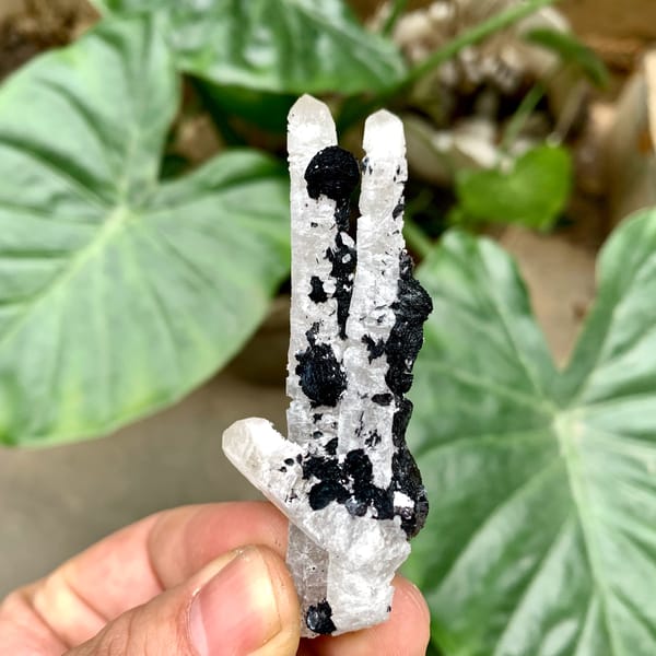 Black botryoidal specular hematite balls on white quartz from Inner Mongolia, China, close-up of the crystal faces