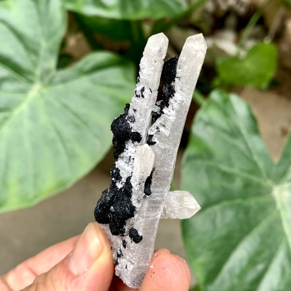 Black botryoidal specular hematite balls on white quartz from Inner Mongolia, China, reverse side