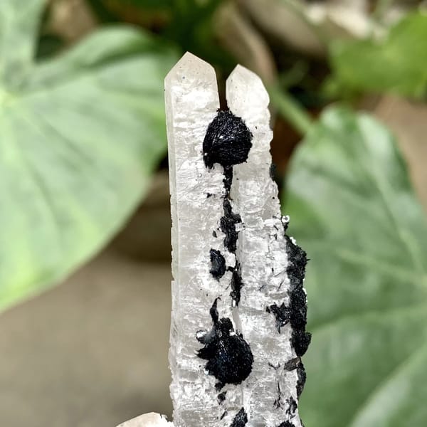 Black botryoidal specular hematite balls on white quartz from Inner Mongolia, China, top view