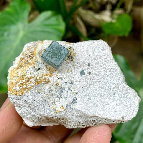 Single green fluorite cube on pale quartz matrix from Inner Mongolia, China, held in hand