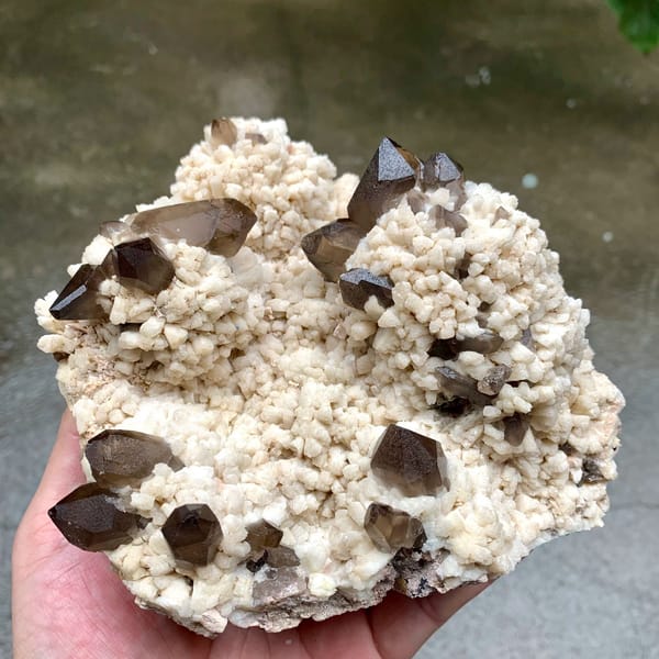 Dark smoky quartz points on cream feldspar mound from Fujian, China, held in hand