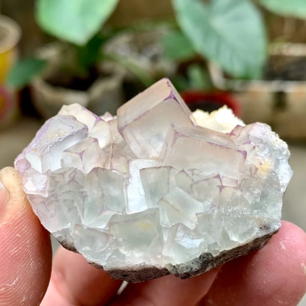 Glassy purple-edged fluorite cubes on white quartz from Guizhou, China, second angle