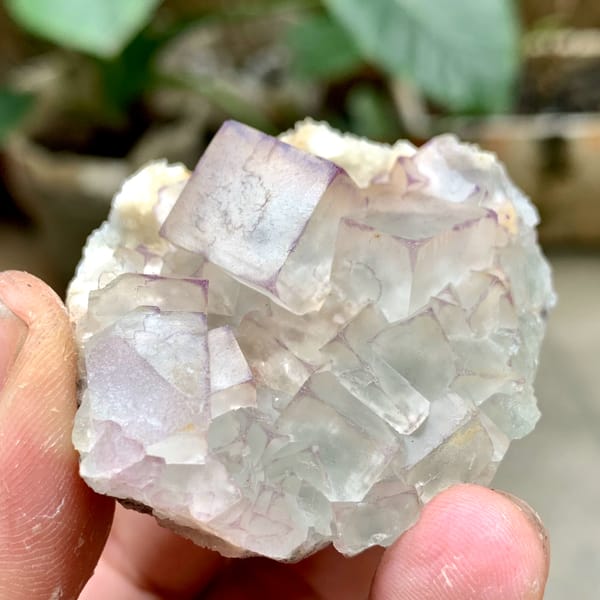 Glassy purple-edged fluorite cubes on white quartz from Guizhou, China, close-up of the crystal faces