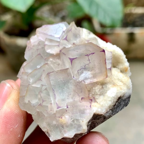 Glassy purple-edged fluorite cubes on white quartz from Guizhou, China, reverse side
