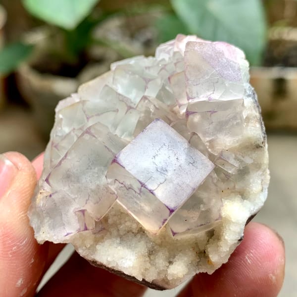 Glassy purple-edged fluorite cubes on white quartz from Guizhou, China, top view