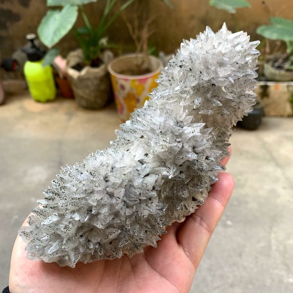 Long plate of sharp-pointed calcite crystals with pyrite from Hubei, China, top view