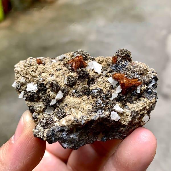Orange-brown helvine crystals on garnet and magnetite from Inner Mongolia, China, held in hand
