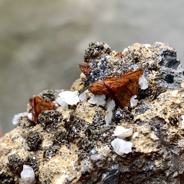 Orange-brown helvine crystals on garnet and magnetite from Inner Mongolia, China, close-up of the crystal faces