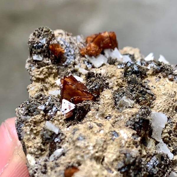 Orange-brown helvine crystals on garnet and magnetite from Inner Mongolia, China, top view