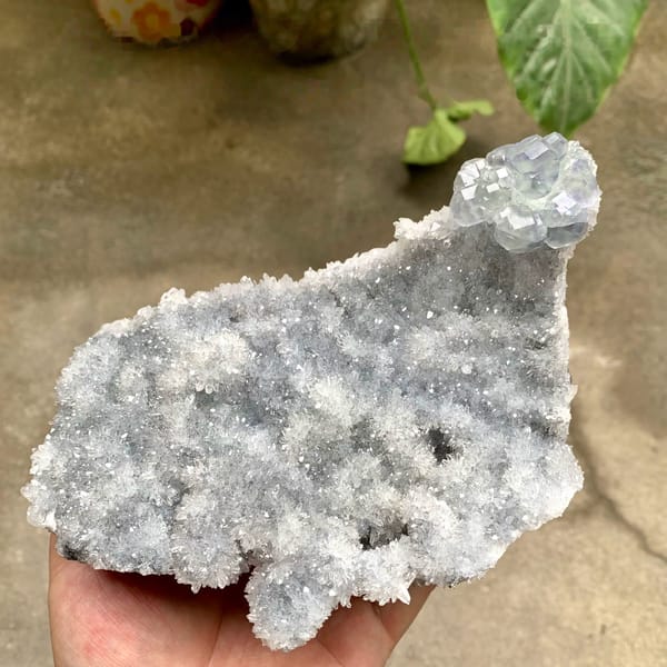 Long plate of sparkling quartz druse with blue-cored fluorite from Fujian, China, held in hand