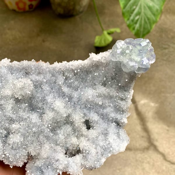 Long plate of sparkling quartz druse with blue-cored fluorite from Fujian, China, close-up of the crystal faces