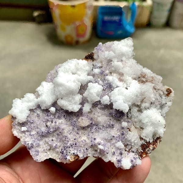 Purple yttrofluorite with white gypsum crust from Guizhou, China, held in hand