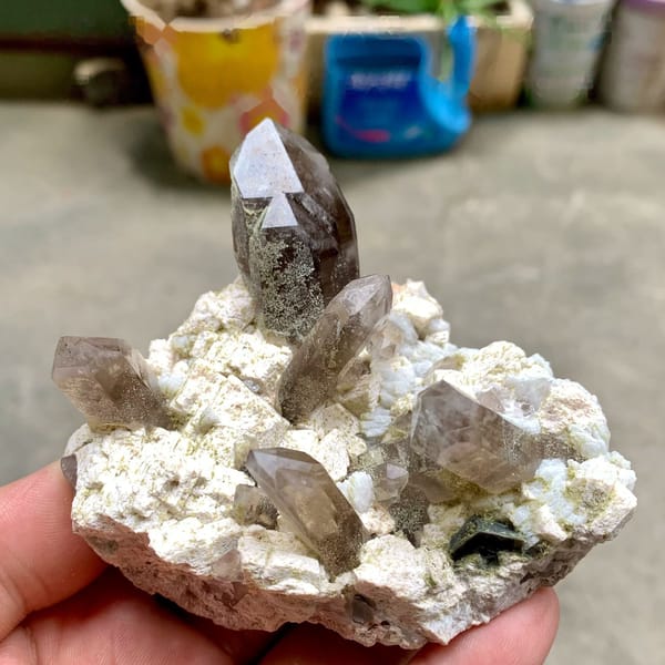 Smoky quartz points with chlorite on cream feldspar from Fujian, China, held in hand