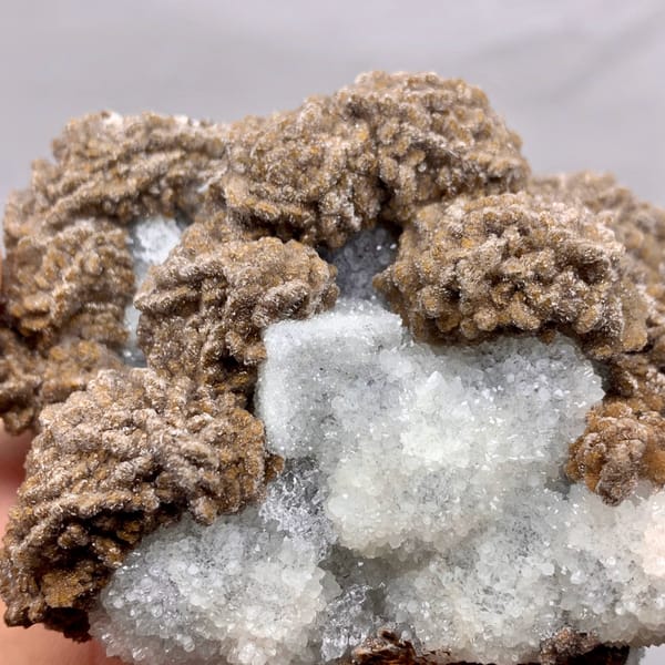 Chocolate-brown calcite over white sugar fluorite from Fujian, China, top view