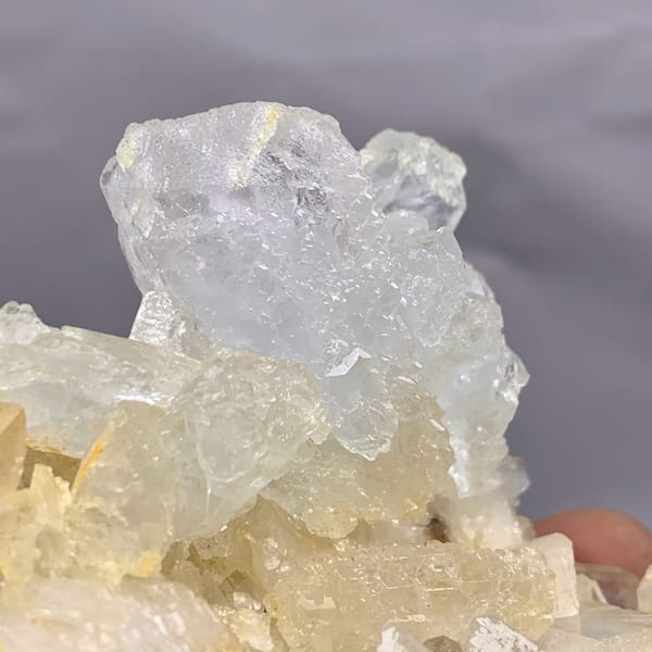 Serrated translucent baryte blades on golden matrix from Jinkouhe, Sichuan, China, top view