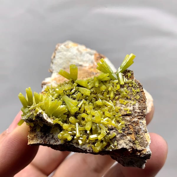 Matcha-green pyromorphite prisms on brown matrix from Guangxi, China, held in hand