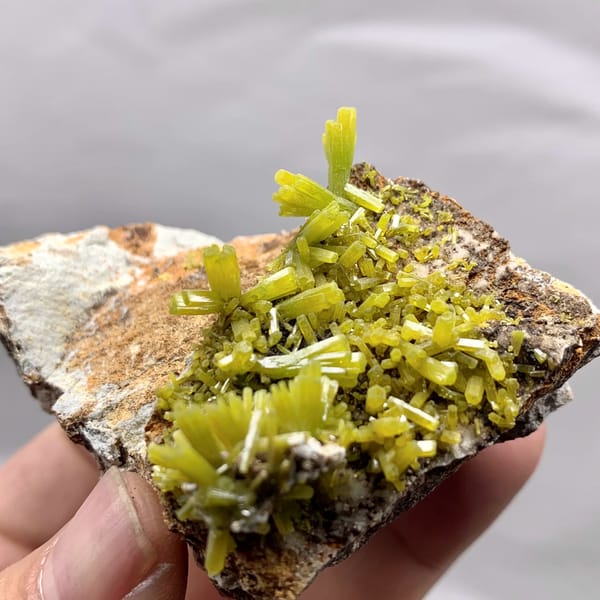 Matcha-green pyromorphite prisms on brown matrix from Guangxi, China, reverse side